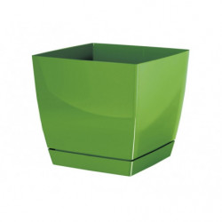 Kvetináč COUBI-P štvorec zelený 15,5 cm