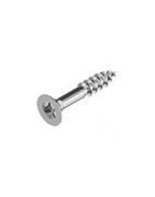 Vrut do dreva TORX ZH nerez